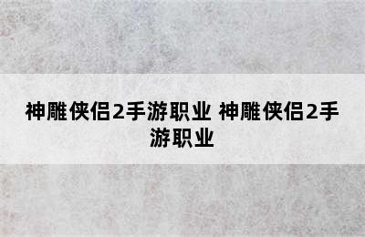 神雕侠侣2手游职业 神雕侠侣2手游职业